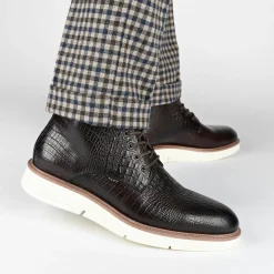 TAFT Taft 365|Taft 365 Boots>Model 009 Boot In Chocolate