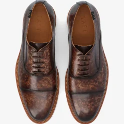 TAFT Taft 365|Taft 365 Shoes>Model 102 Shoe In Espresso