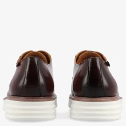 TAFT Taft 365|Taft 365 Shoes>Model 102 Shoe In Honey