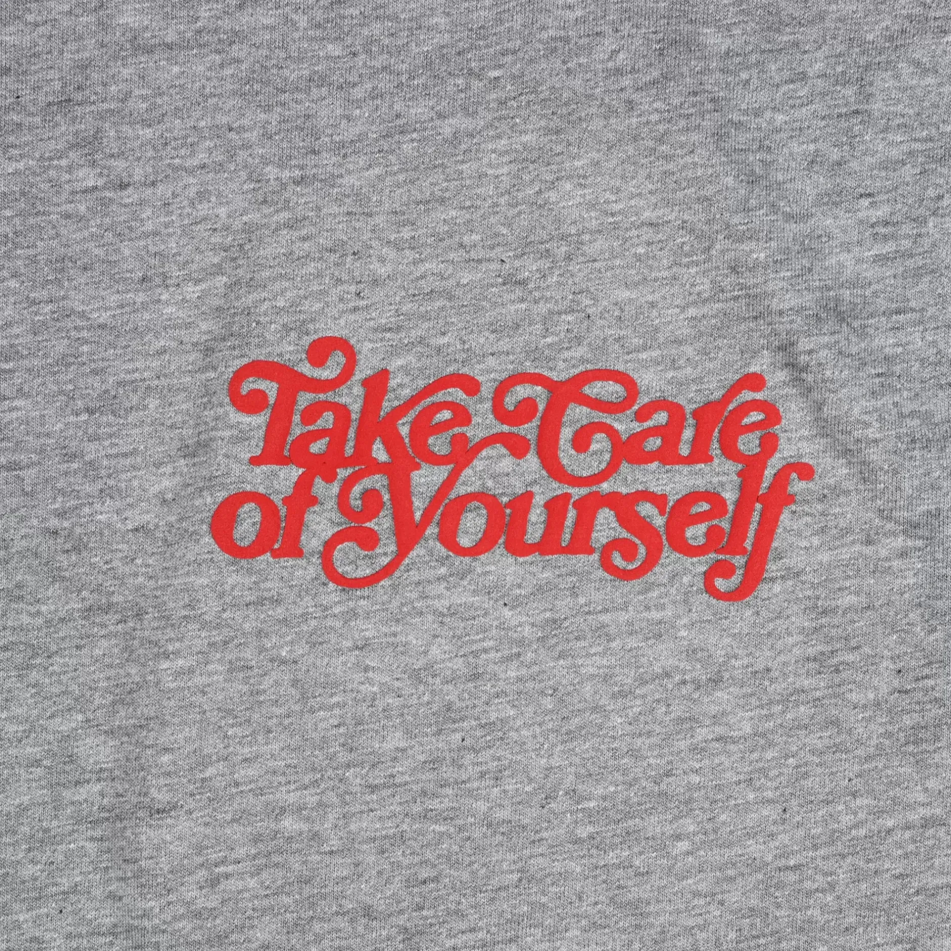 TAFT Mental Health Merch>Take Care Long Sleeve Shirt In Grey
