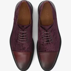 TAFT Shoes>The Jack Shoe In Pinot |